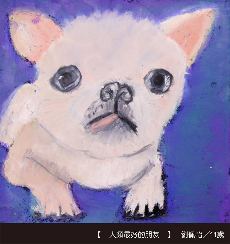 2016 dogs 15