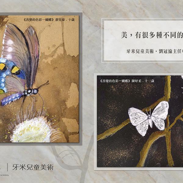 主任專欄 善變的色彩—蝴蝶